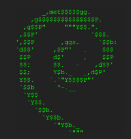 debian linux logo