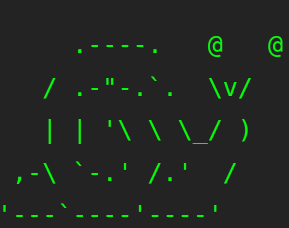 Magnificent Website